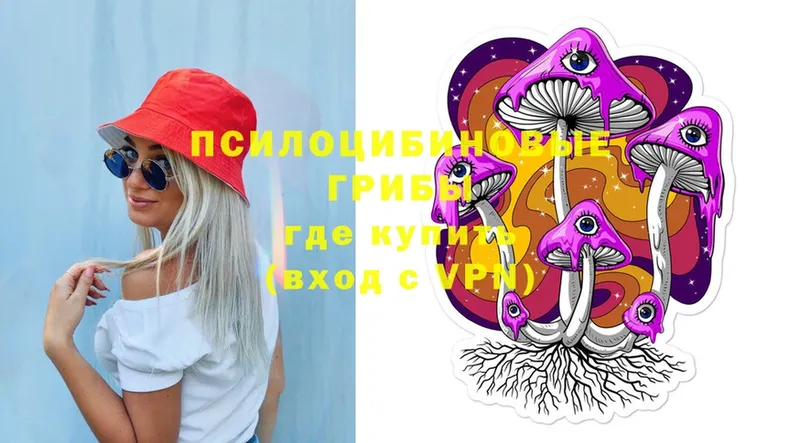 как найти закладки  Боготол  Галлюциногенные грибы Cubensis 